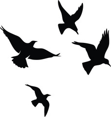 Silhouetted Birds Soaring Freely Against a White Backdrop Expressing Themes of Wildlife, Freedom, and Natural Beauty in a Minimalist Style