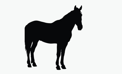 Horse silhouette, equestrian animal vector, domestic livestock icon, black farm creature illustration, Halter Quarter Horse silhouette 
