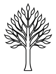 Elegant Line Drawing Tree Illustration