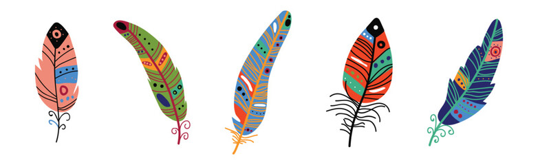 Colorful Fluffy Feather and Plume of Bird Vector Set