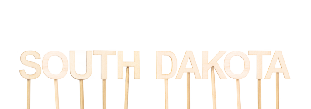 South Dakota name formed with wooden letters held on sticks, clean white background ideal for educational resources, US state-themed decoration, or school projects on state geography