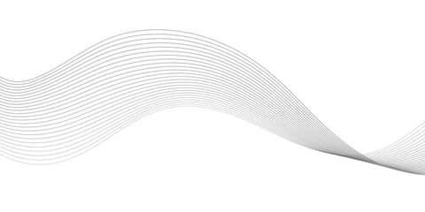 Fototapeta premium Abstract wavy white and grey curved lines on transparent background. Frequency sound wave lines and technology background, Design for brochure, flyer, banner, template, business wave lines background.
