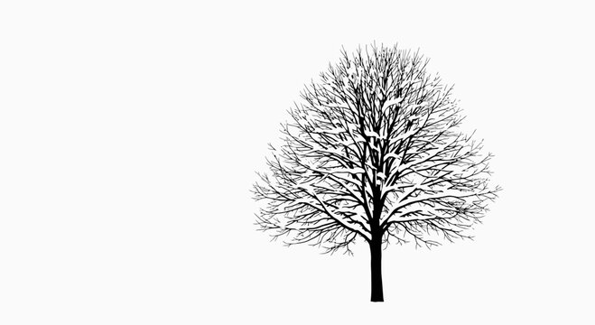 Monochrome Tree Silhouette Against White Backdrop for Winter or Artistic Use