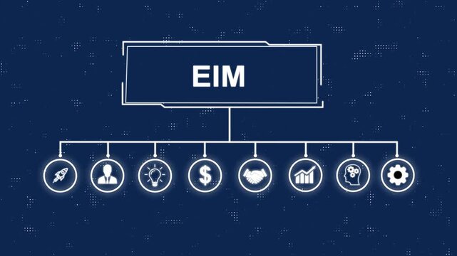 Animated EIM procedure illustration featuring, and business insights from massive data sets ,network , business ,technology concept animation technology.