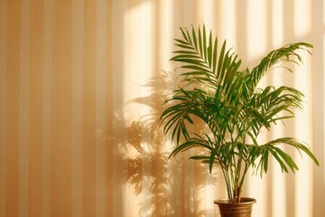 Fototapeta premium Sunlight streams through the window, illuminating a palm tree.