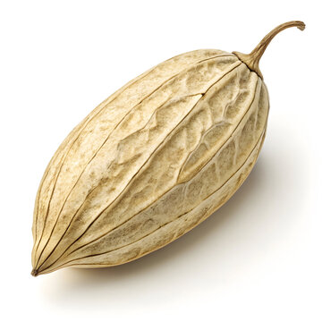 A single dried pointed gourd placed on a white background, ideal for culinary, herbal,