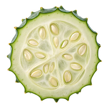 Whole dried pointed gourd slice isolated on a plain background, perfect for culinary, herbal,