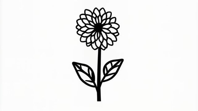 Artistic Flower Silhouette Animation with Decorative Leaves on White Background