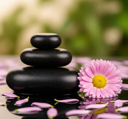 Spa and Relaxation