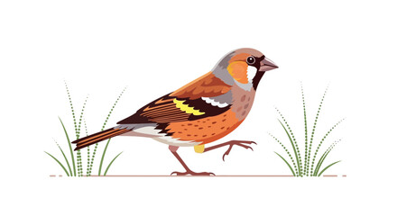 Obraz premium Vector illustration of a colorful bird walking on grass creating a whimsical artwork