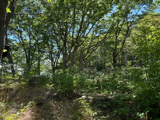 小樽市内の天狗山