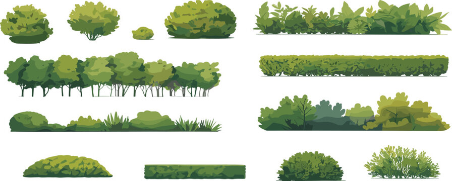 PrinRealistic green bush and hedge vector illustration, garden plant collection, landscape design elements, natural foliage clipart, outdoor decorative shrub graphicst