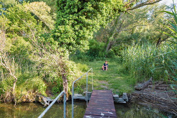 Wooden pier leading to green forest path