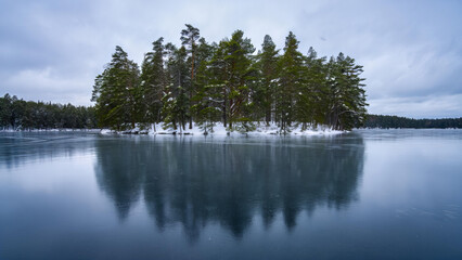 Fototapeta premium Snow covered island with pine trees reflected in calm winter lake