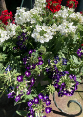 Sans titre (Flyer (A4)) - 6