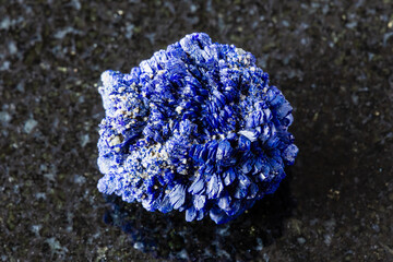 sample of crystalline azurite mineral on black