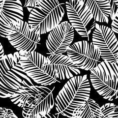Gobo texture shadows exotic foliage and leaf overlays