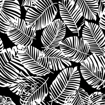 Gobo texture shadows exotic foliage and leaf overlays