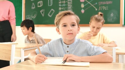 Attractive caucasian boy looking at camera while studying math at school. Diverse cute student...