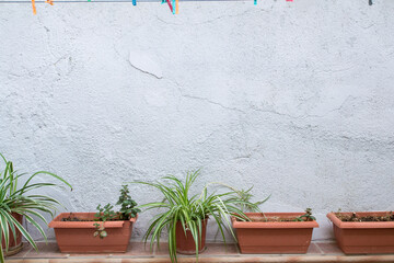 Fondo de pared blanca de casa de pueblo con macetas con plantas. Mock Up