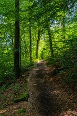 Weg in die grüne Zukunft