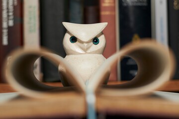 The focused gaze of a marble owl framed by the pages of an open book, surrounded by shelves filled...