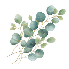 Obraz premium Botanical Leaves and Eucalyptus Branch Illustration on Transparent Background