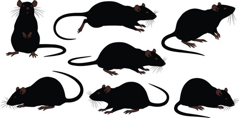 Black rat silhouettes in various poses, realistic rodent vector illustrations for wildlife, pest control, education