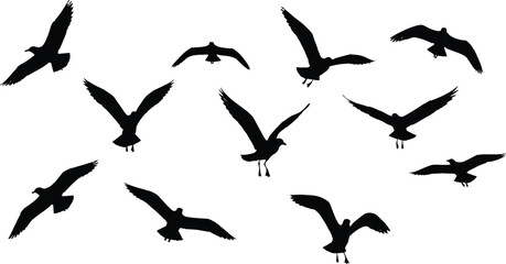 Flying Bird Silhouettes in Various Poses, Black Vector Illustration for Nature, Wildlife, and Graphic Design
