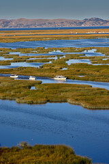 Calm waters weave through golden reeds on Lake Titicaca, guiding boats toward the floating Uros Islands — a timeless scene of life on the high Andean plateau