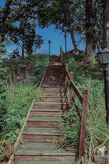 green steps up wisconsin woods