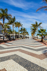 Beautiful shaped paving stones under tall palm trees along the promenade of Gandia, Spain under a...