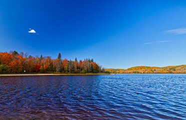 Vast expanse of the lake waters surrounded by the beautiful foliage on a crisp day.