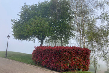 West Park in Oviedo, Spain, is a spacious urban green area offering walking paths, lush lawns and...