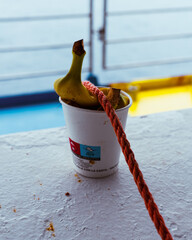 maritime journey 