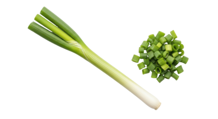 Isolated Green Onion, Whole and Chopped