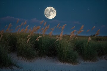 Fototapeta premium Flowing Beach Grass Silhouettes Under a Full Moon Nightscape
