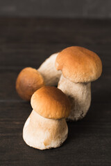 Fresh raw porcini mushrooms on wooden table