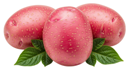 Isolated Red Potatoes with green leafs