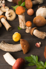 One mushroom in focus among various edible mushrooms