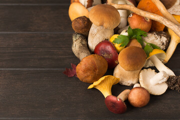 Many edible fresh mushrooms over wooden table with copy space