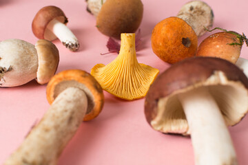 Various fresh mushrooms on pink background