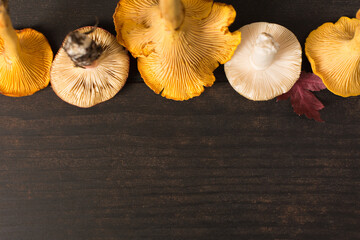 Two type of edible mushrooms after harvest on wooden table