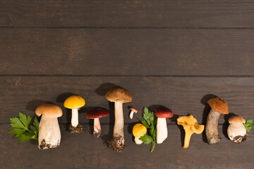 Various edible mushrooms are lying on a brown wooden table