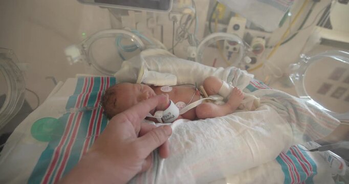 Holding Preemie Babys Hand in The Incubator