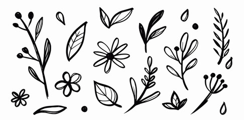 Hand-drawn Floral Elements: Black & White Botanical Illustrations
