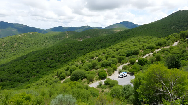 Corsica, France - July 8, 2024: Green mountain landscape. From Ocana to Ajaccio, along Road D3 is a lookout parking and helicopter landing spot