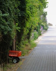 Wagon in the brush of a coastal village.