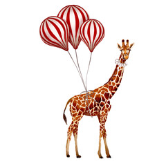 Circus giraffe illustration tied with red and white balloons. Carnival animal for poster or kids design. Baby shower greeting card artwork. Hand drawn on transparent background. © 7nov.studio