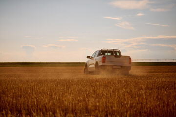Rear view of pick-up truck in farm field. © Drazen